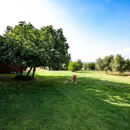 La Casa In Toscana 度假居